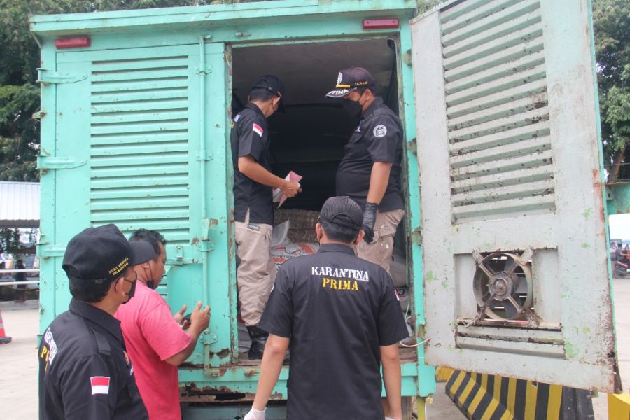 Karantina Pertanian Tanjungpinang Gencar Lakukan Operasi Patuh di Pelabuhan ASDP Tanjung Uban