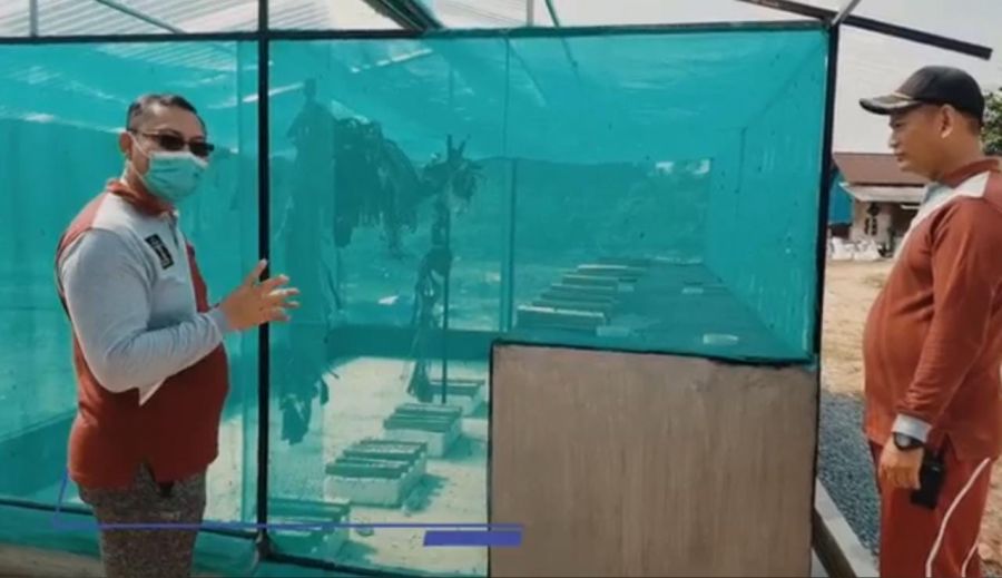 Lapas Narkotika Kelas IIA Tanjungpinang Budidaya Lalat Tentara Hitam