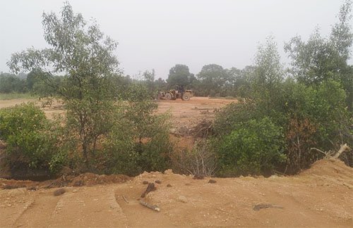 Penimbunan Lahan Mangrove di Sungai Ayam Karimun Disorot