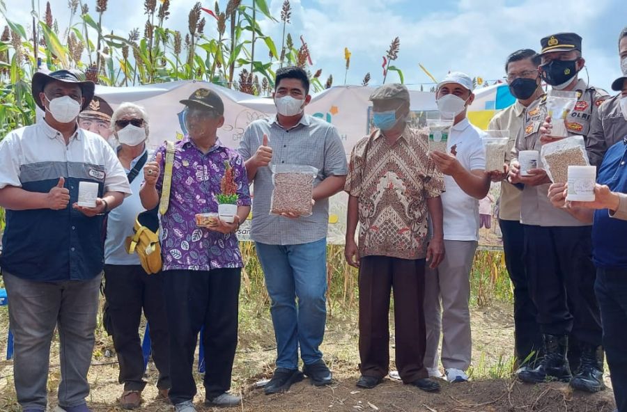 Dorong Sorgum Jadi Pangan Alternatif, Roby: Target Kedepan Bintan Menjadi Surga Tanaman Sorgum